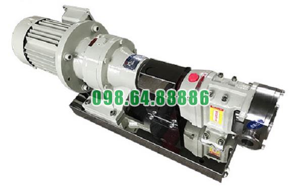 Máy bơm trái khế 3RP-3 đường kính kết nối 25-32 mm