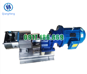 Bơm Thực Phẩm Inox Trục Ngang 3RP-6